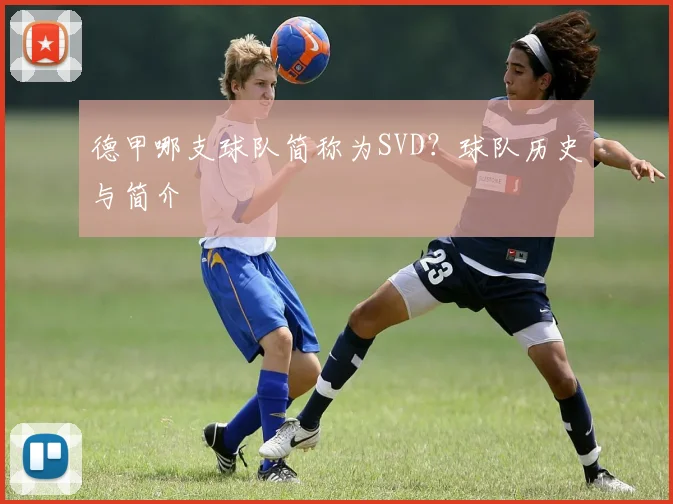 德甲哪支球队简称为SVD？球队历史与简介