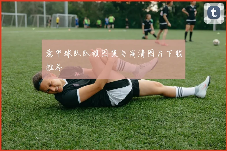 意甲球队队旗图集与高清图片下载推荐